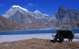 Everest Base Camp Trek with Gokyo Lakes
