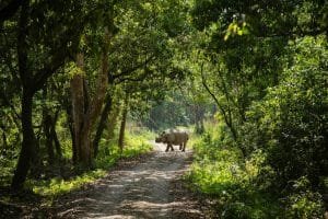Kathmandu Nagarkot Chitwan tour