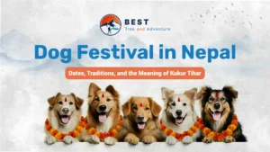 Dog Festival in Nepal: Dates, Traditions, and the Meaning of Kukur Tihar