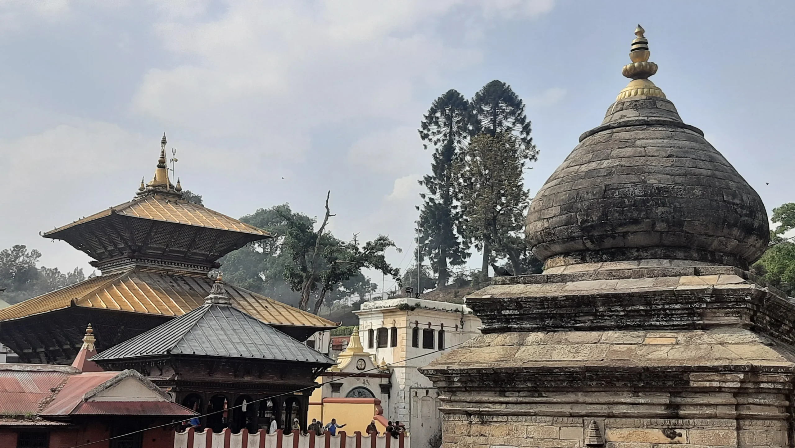 Pashupatinath Temple Evening Aarati Ceremony with Boudhanath Stupa Tour
